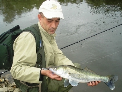 Boris Jurkić